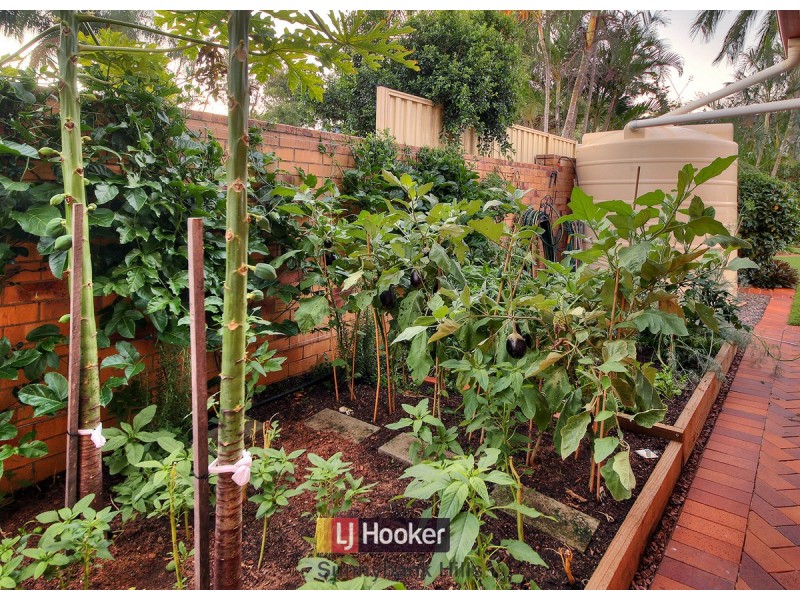 20 Delfin Drive, Macgregor QLD 4109