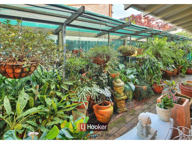 26 Pinecone Street, Sunnybank QLD 4109