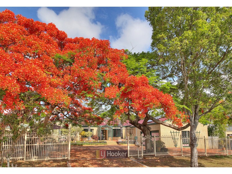 10 Shelley Street, Sunnybank QLD 4109