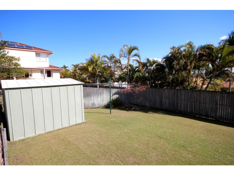 11 Tulipwood Place, Stretton QLD 4116