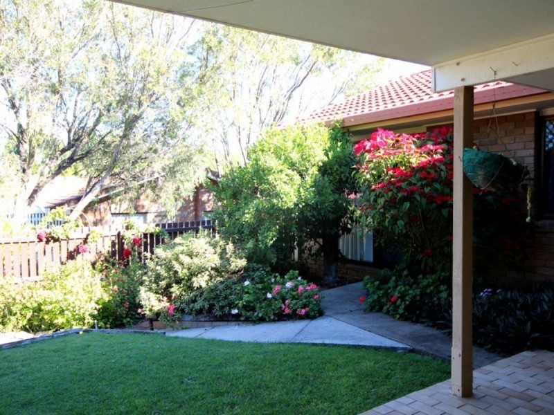 49 Driftwood Street, Sunnybank Hills QLD 4109