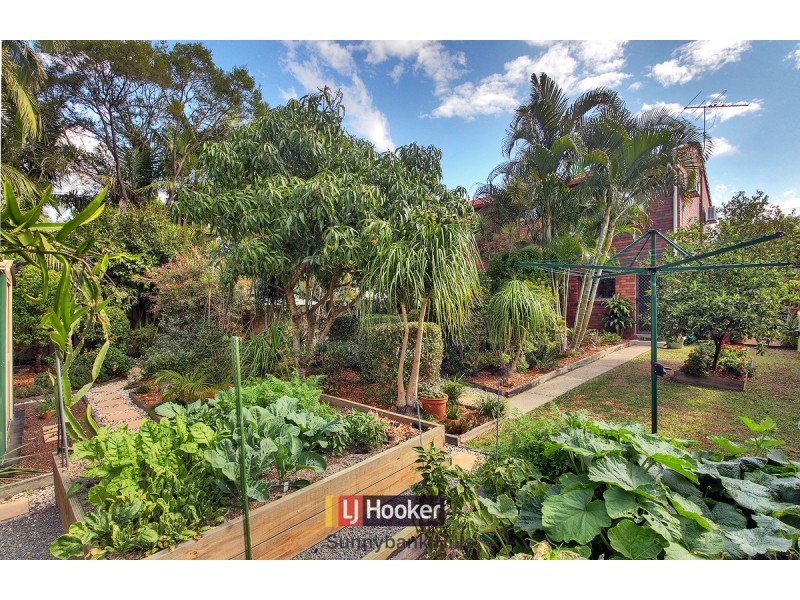 43 Coolinda Street, Sunnybank QLD 4109