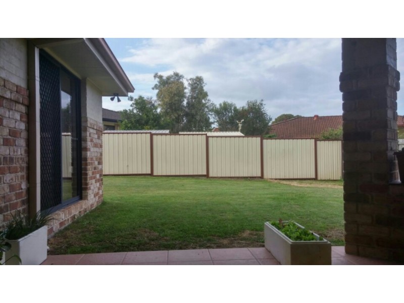 41 Springvale Circuit, Underwood QLD 4119