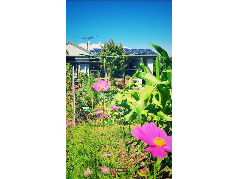 23 Joyce Street, Coopers Plains QLD 4108