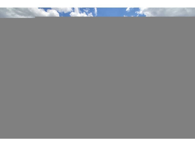 11 Peterleen Street, Robertson QLD 4109