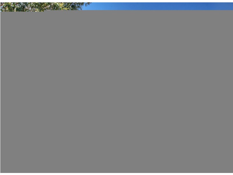 46 Paddington Crescent, Stretton QLD 4116