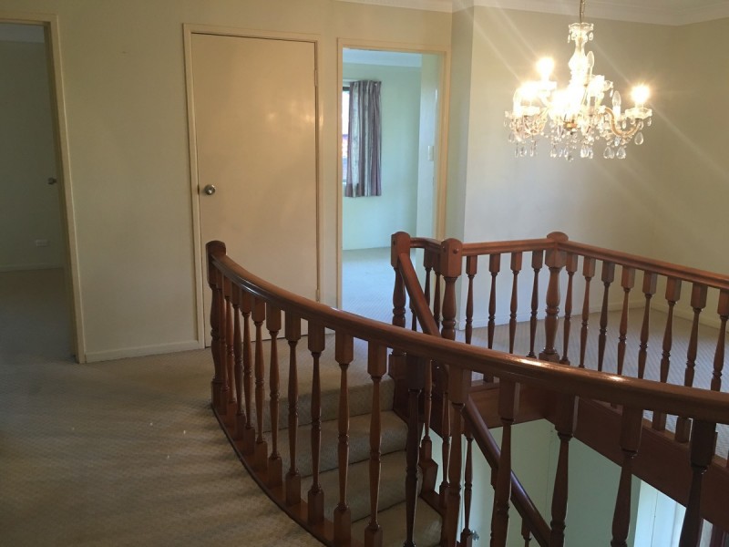 3 Homeland Street, Sunnybank Hills QLD 4109