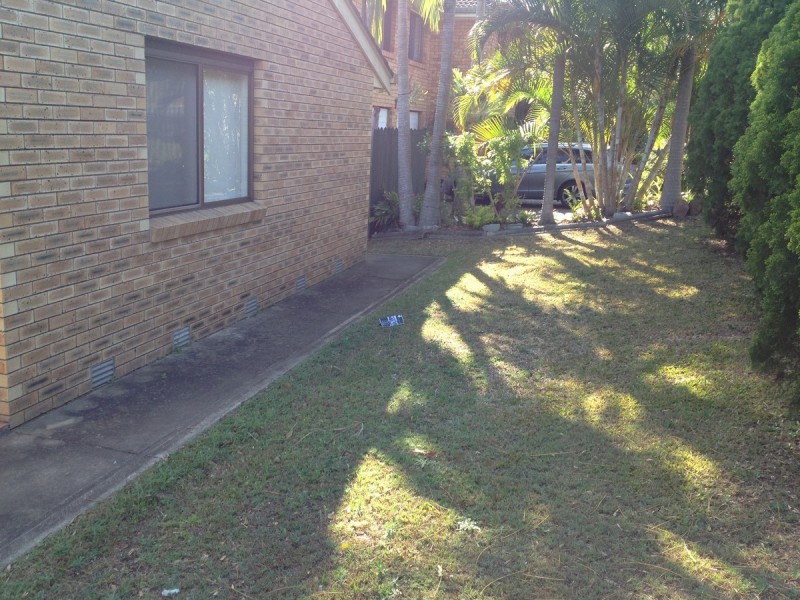 9 Greenleaf Street, Sunnybank Hills QLD 4109