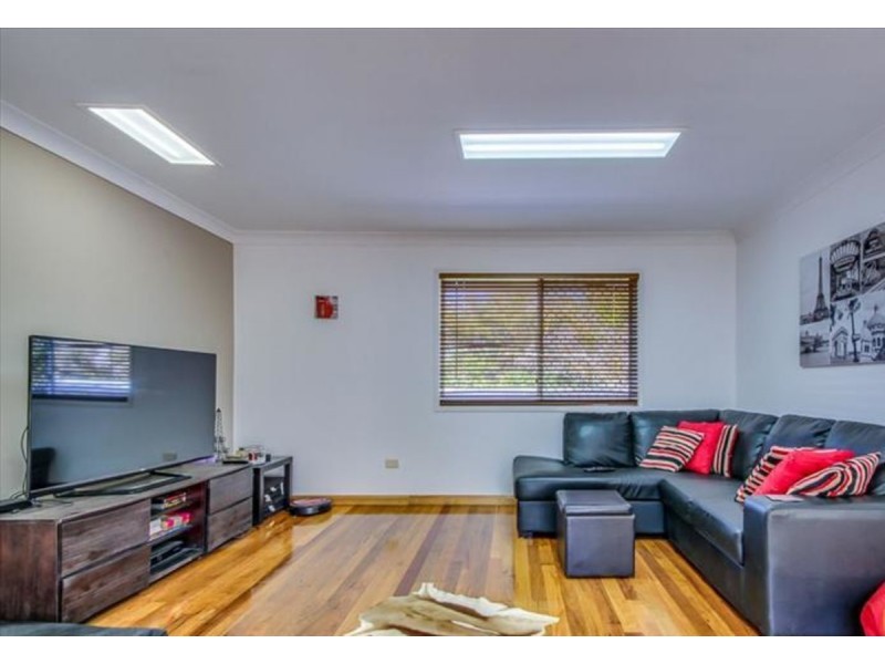 19 Halse Street, Sunnybank QLD 4109