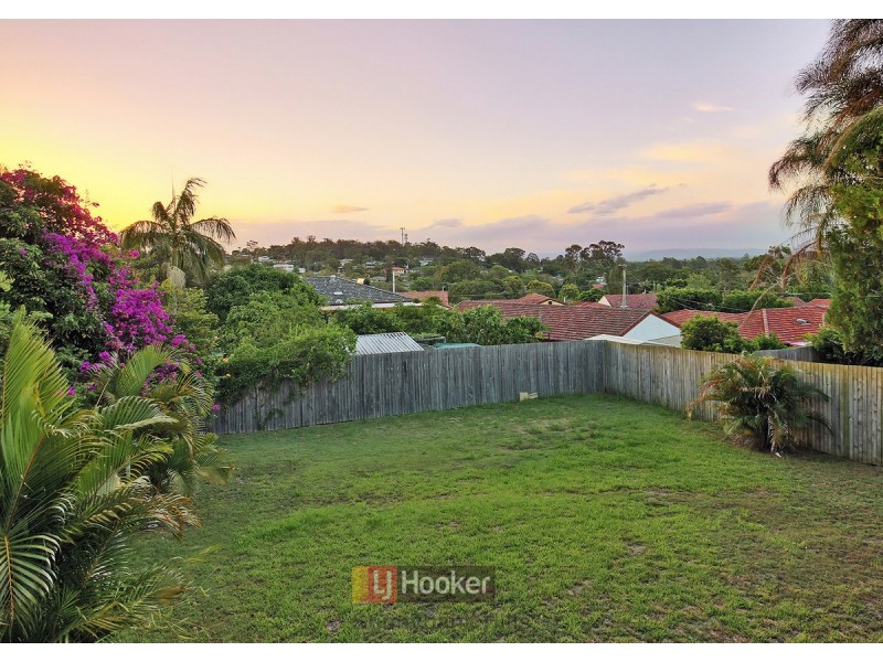 67 Wynne Street, Sunnybank Hills QLD 4109