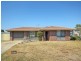 42 Colvillea Street, Eight Mile Plains QLD 4113