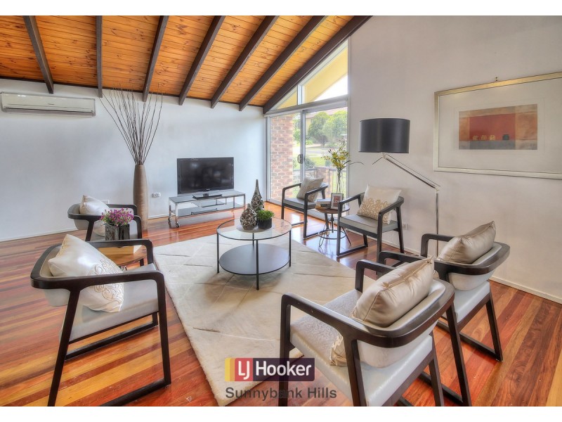 19 Celadon Street, Sunnybank Hills QLD 4109