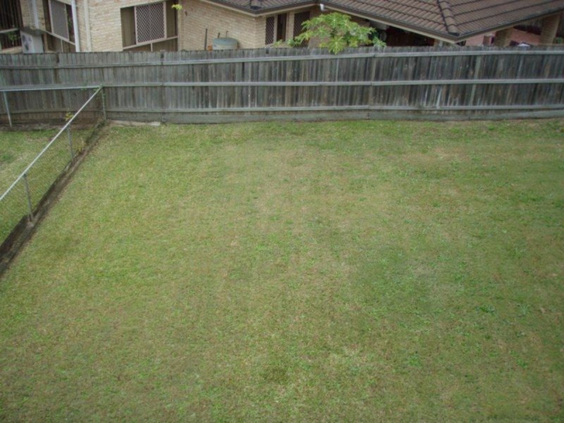 24 Devonlea Street, Eight Mile Plains QLD 4113