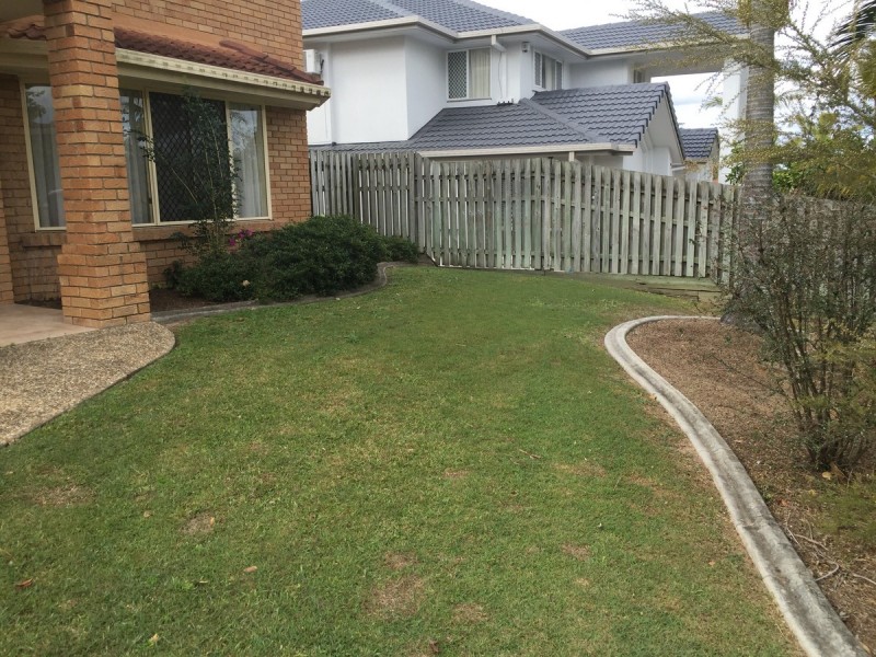 16 Carnation Crescent, Calamvale QLD 4116