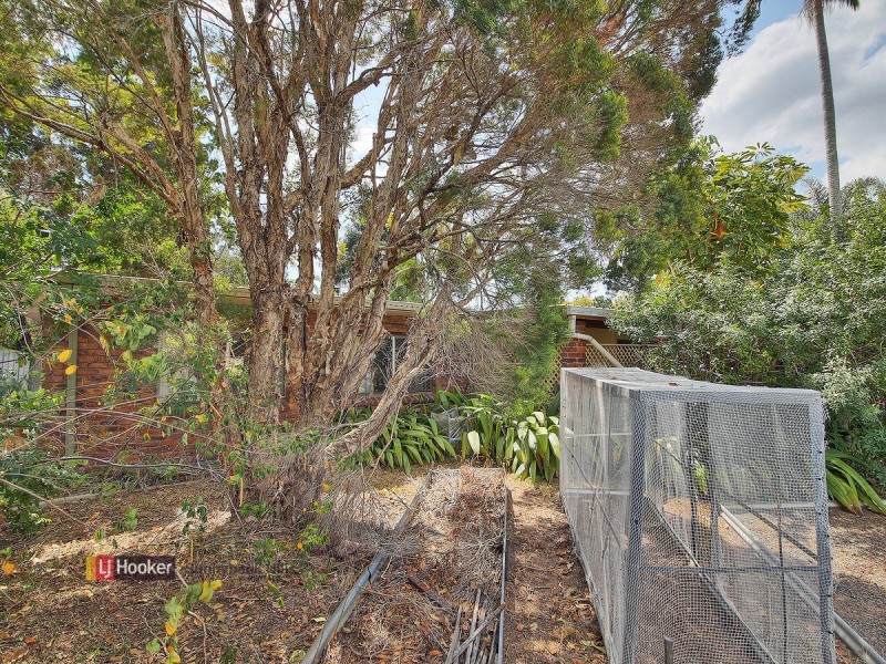 3 Tingi Avenue, Tanah Merah QLD 4128
