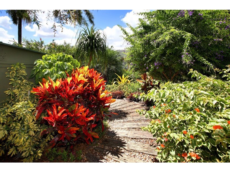 9 Thulimbah Street, Coopers Plains QLD 4108