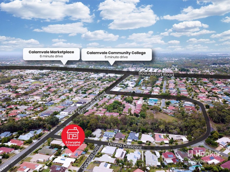 3 Corypha Crescent, Calamvale QLD 4116