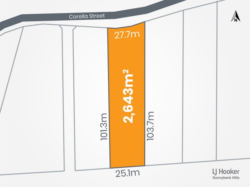 41 Corella Place, Runcorn QLD 4113