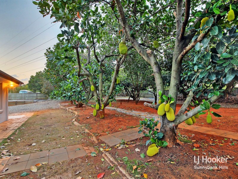 39 Borella Road, Sunnybank Hills QLD 4109