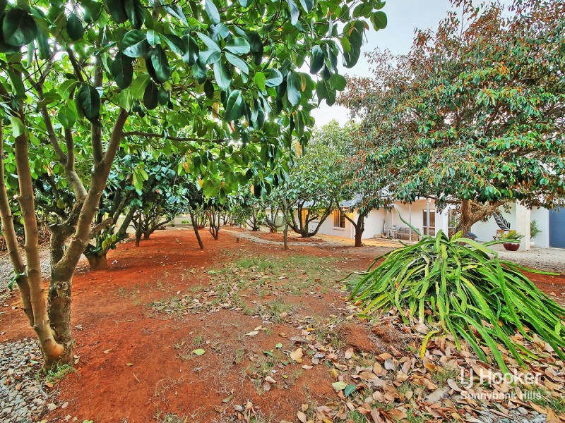 39 Borella Road, Sunnybank Hills QLD 4109