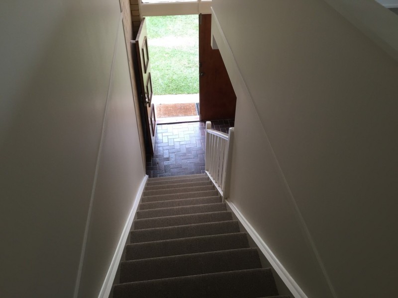 8 Ashdown Street, Sunnybank Hills QLD 4109