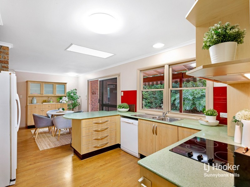 20 Pinecone Street, Sunnybank QLD 4109
