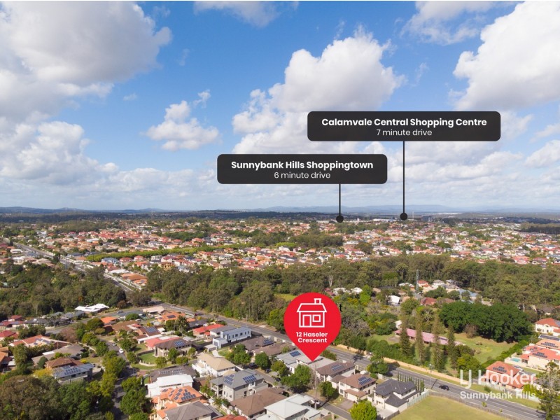 12 Haseler Crescent, Sunnybank Hills QLD 4109