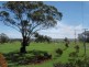 Lot 1 Cnr Malu Road & Bowenville Acland Road, Jondaryan QLD 4403