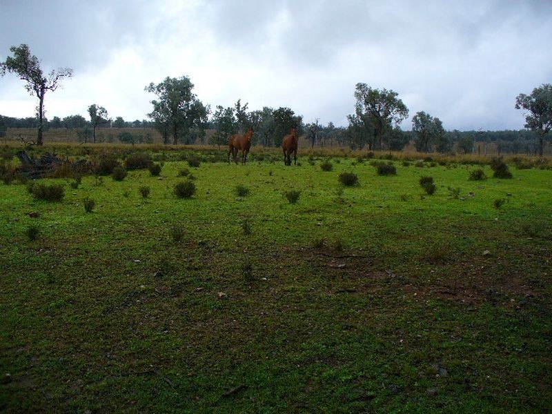 Lot 52 Oaky Creek – Mundoey Road, Texas NSW 4385