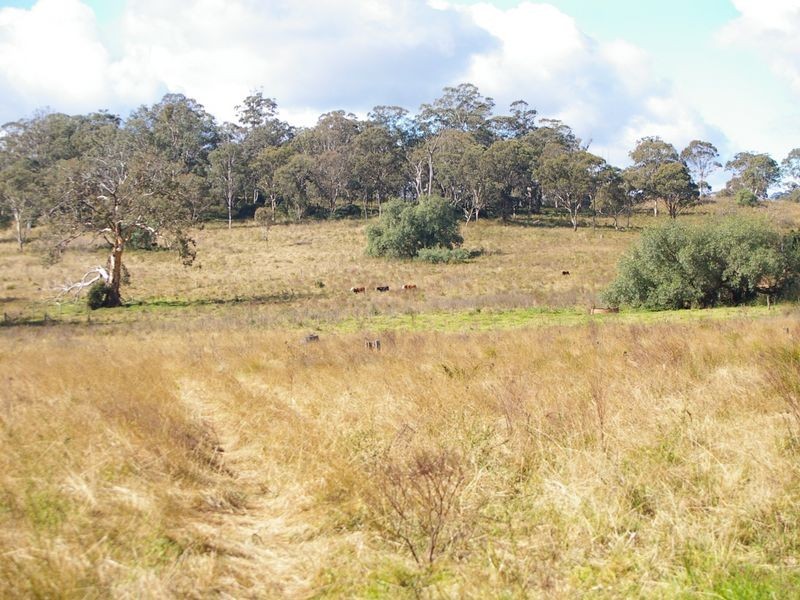 L197 Merrits Creek Road, Crows Nest QLD 4355