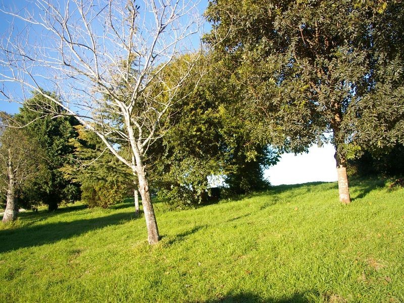 Lot 4 / 5 Murphys Creek Road, Blue Mountain Heights QLD 4350