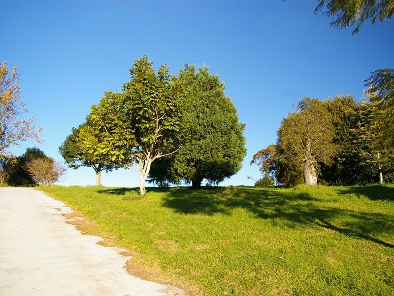 Lot 4 / 5 Murphys Creek Road, Blue Mountain Heights QLD 4350