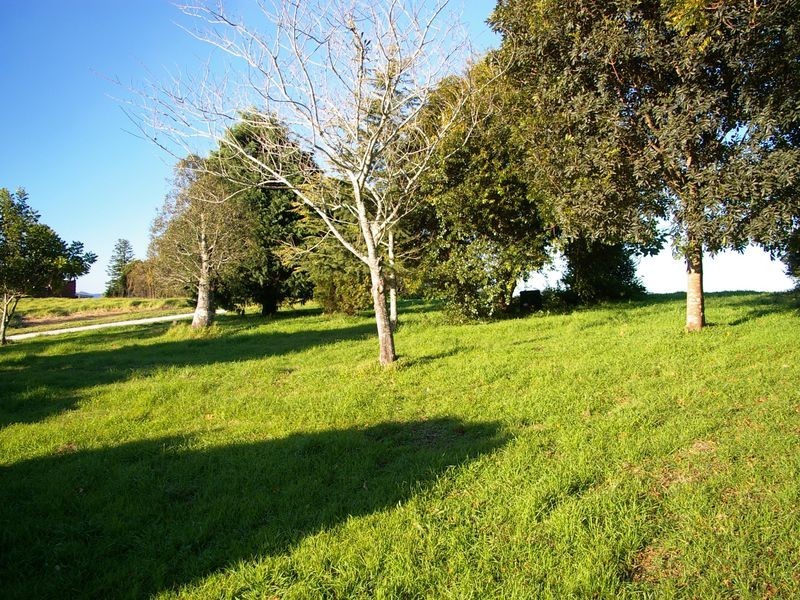 Lot 4 / 5 Murphys Creek Road, Blue Mountain Heights QLD 4350