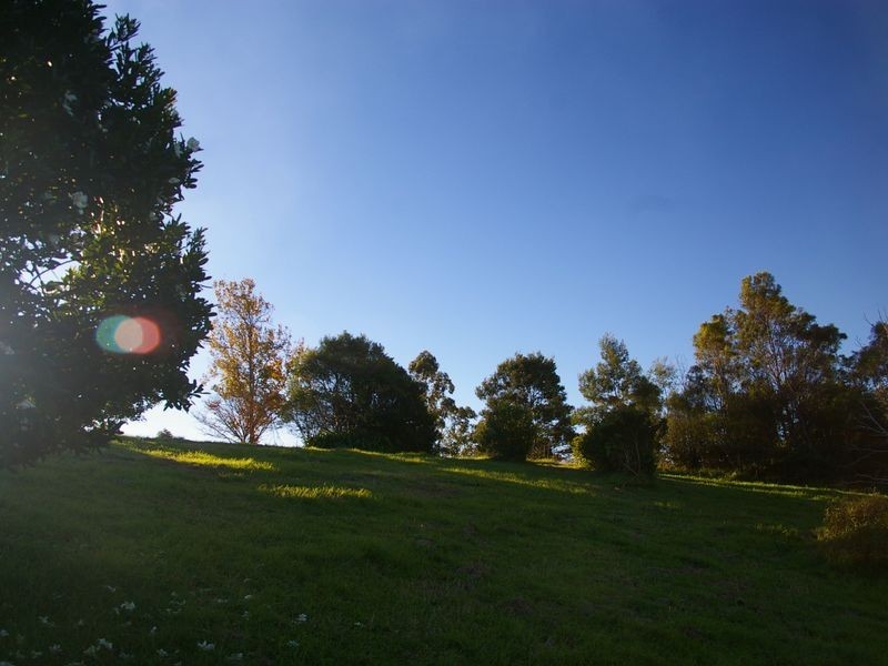 Lot 4 / 5 Murphys Creek Road, Blue Mountain Heights QLD 4350