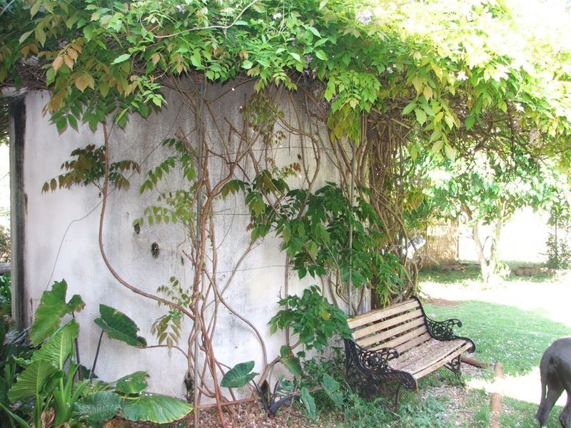 3 Barah Court, Rockville QLD 4350