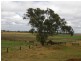 685 Kingsthorpe Haden Road, Acland QLD 4401