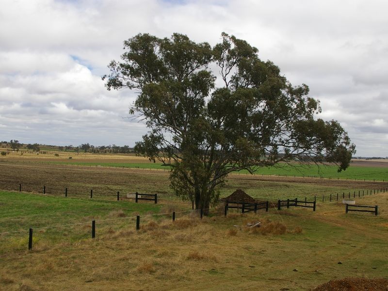 685 Kingsthorpe Haden Road, Acland QLD 4401