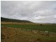 685 Kingsthorpe Haden Road, Acland QLD 4401