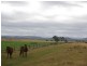 685 Kingsthorpe Haden Road, Acland QLD 4401