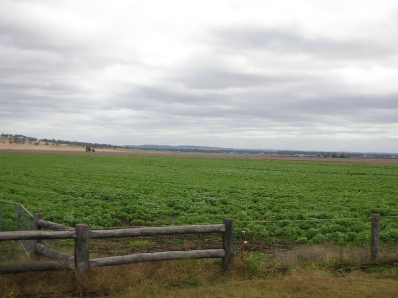 685 Kingsthorpe Haden Road, Acland QLD 4401