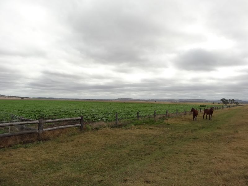 685 Kingsthorpe Haden Road, Acland QLD 4401