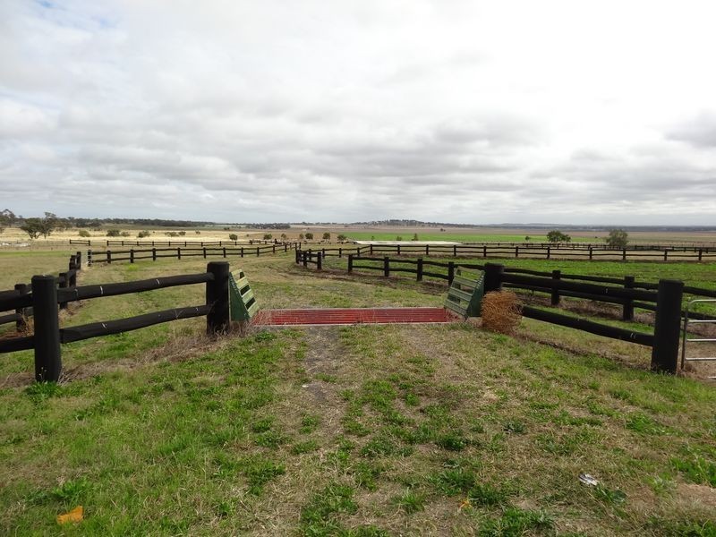 685 Kingsthorpe Haden Road, Acland QLD 4401