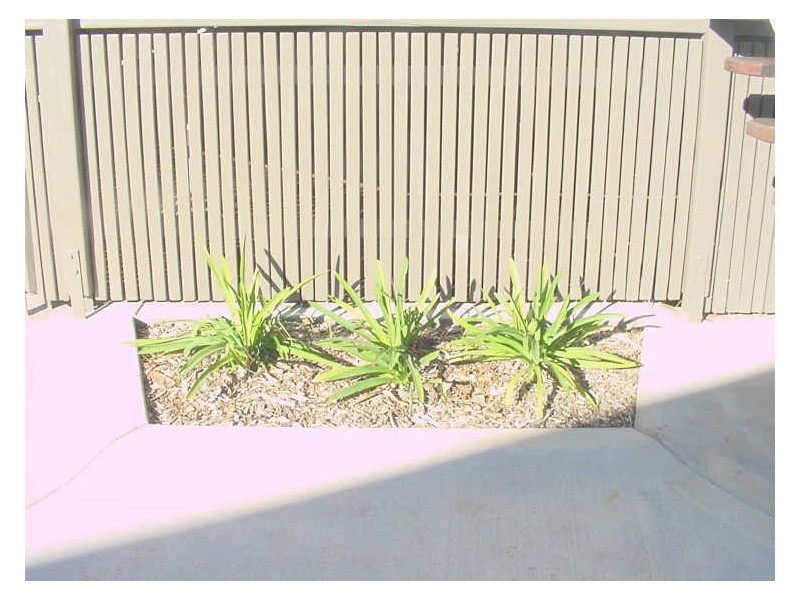 55 Llewellyn Street, Centenary Heights QLD 4350