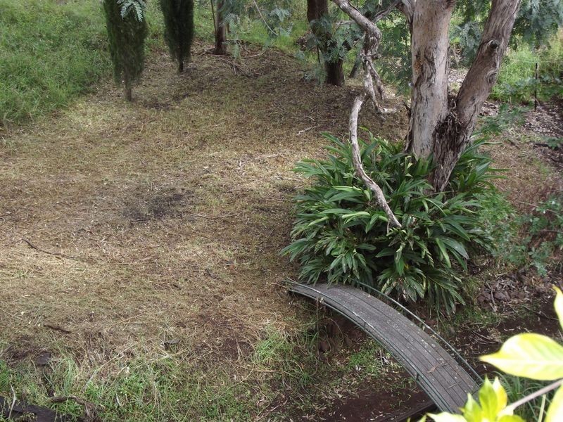 15 Manor Street, Drayton QLD 4350