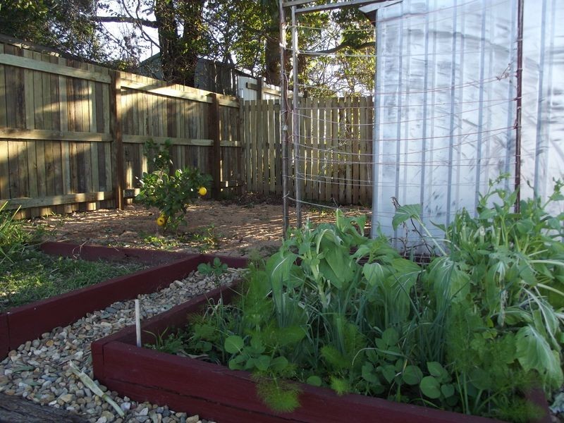 9 Moselle Court, Blue Mountain Heights QLD 4350