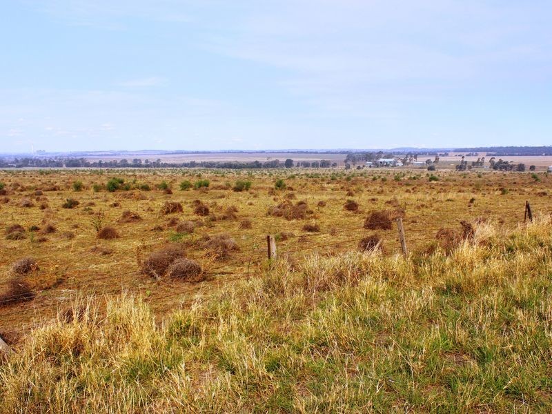 Cnr Heckendorf & Milmerran-Inglewood Rd, Kooroongarra QLD 4357