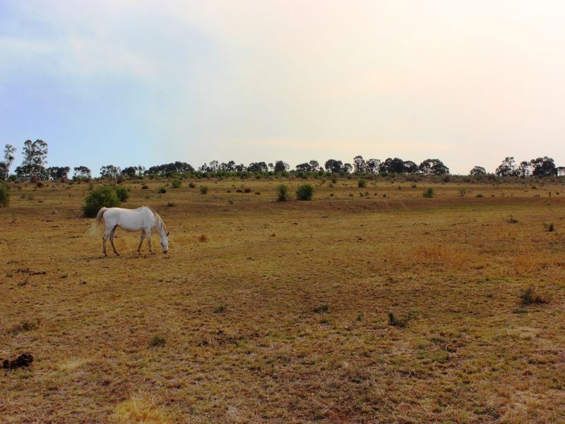 Cnr Heckendorf & Milmerran-Inglewood Rd, Kooroongarra QLD 4357