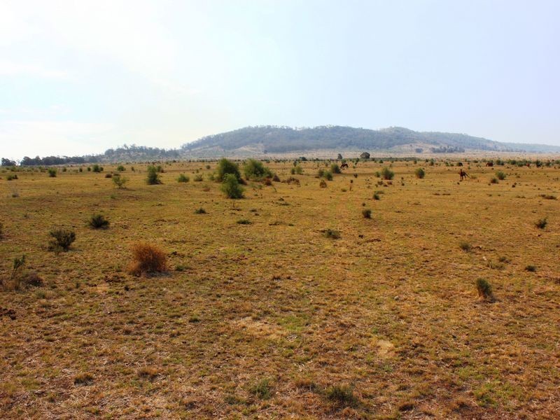 Cnr Heckendorf & Milmerran-Inglewood Rd, Kooroongarra QLD 4357