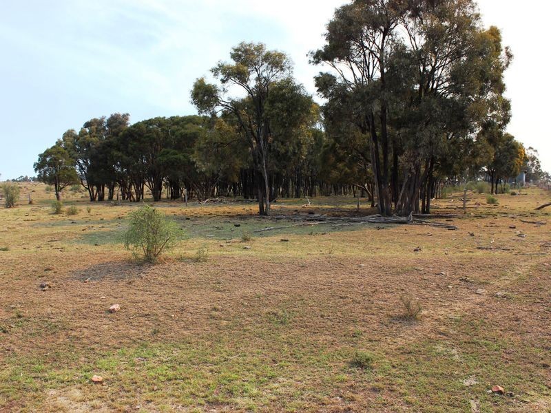 Cnr Heckendorf & Milmerran-Inglewood Rd, Kooroongarra QLD 4357