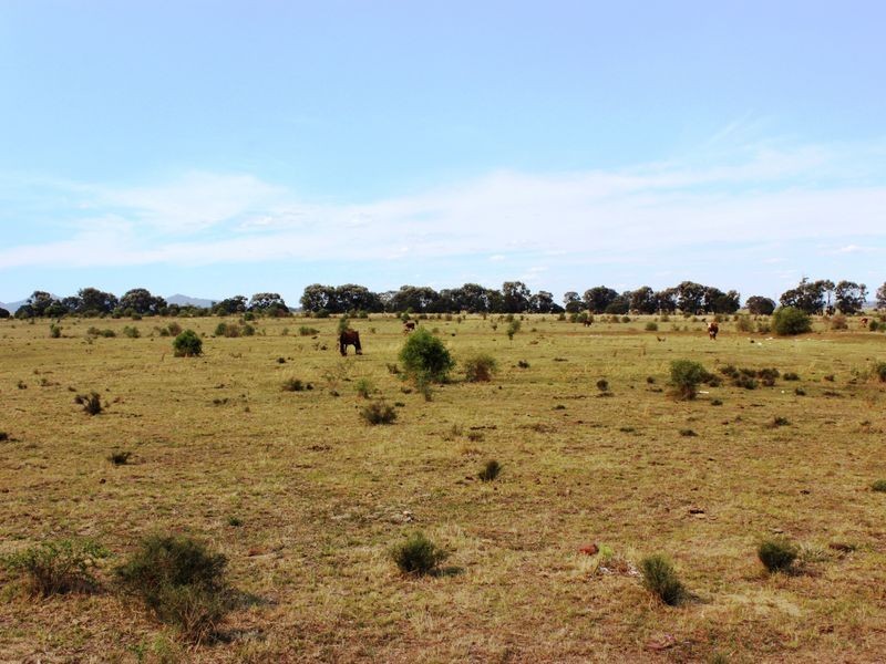 Cnr Heckendorf & Milmerran-Inglewood Rd, Kooroongarra QLD 4357